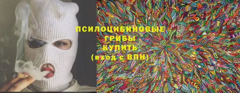 Псилоцибиновые грибы Psilocybine cubensis  Пушкино 